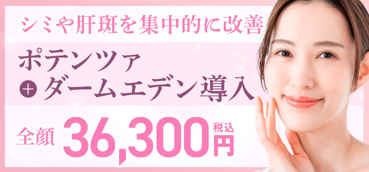 ポテンツァ＋ダームエデン導入