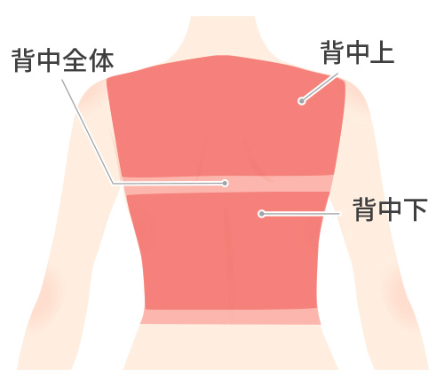 背中