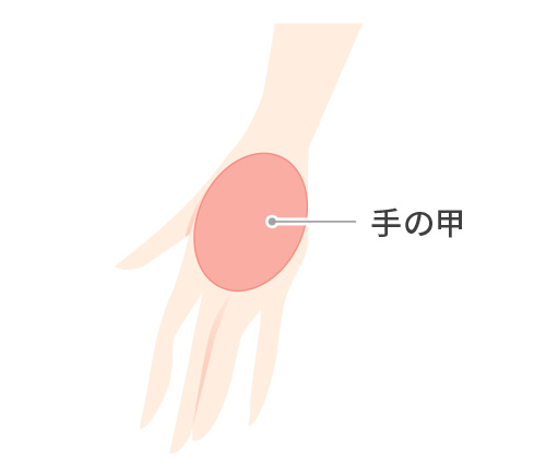 手の甲