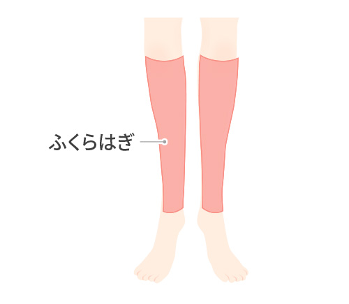ふくらはぎ