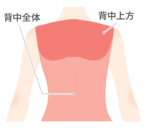 背中