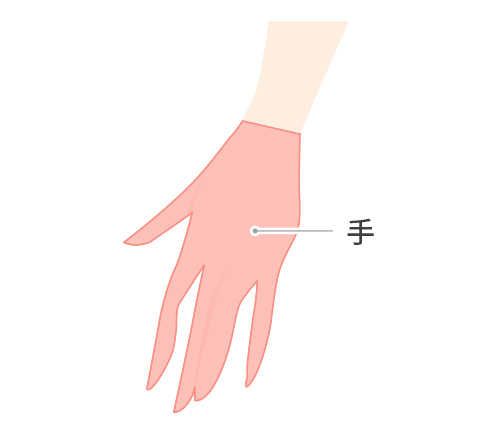 手