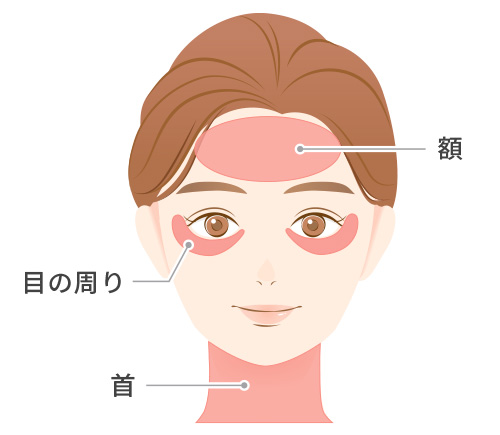 額 目の周り 首