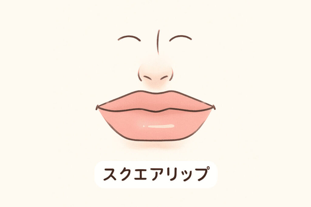 スクエアリップの唇
