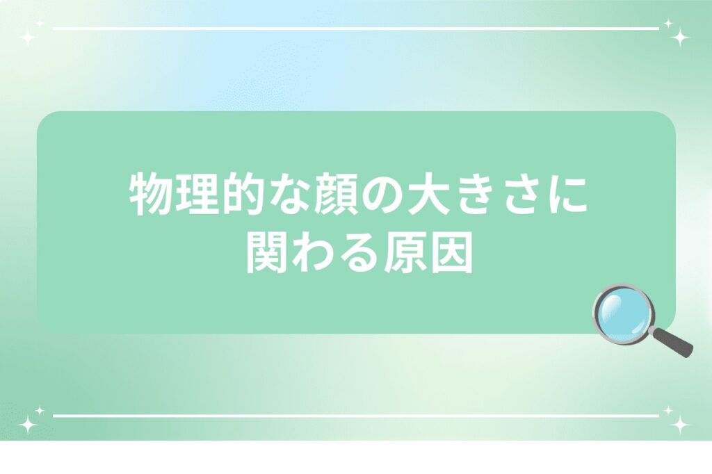 物理的な顔の大きさに関わる原因