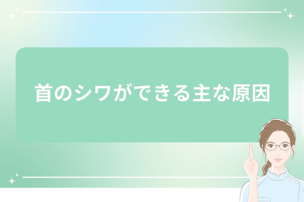 首のシワができる主な原因