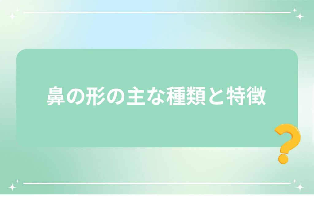 鼻の形の主な種類と特徴