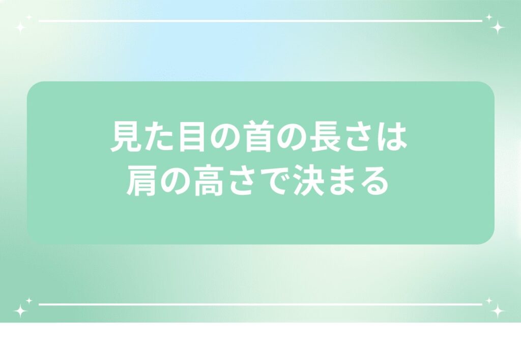見た目の首の長さは肩の高さで決まる